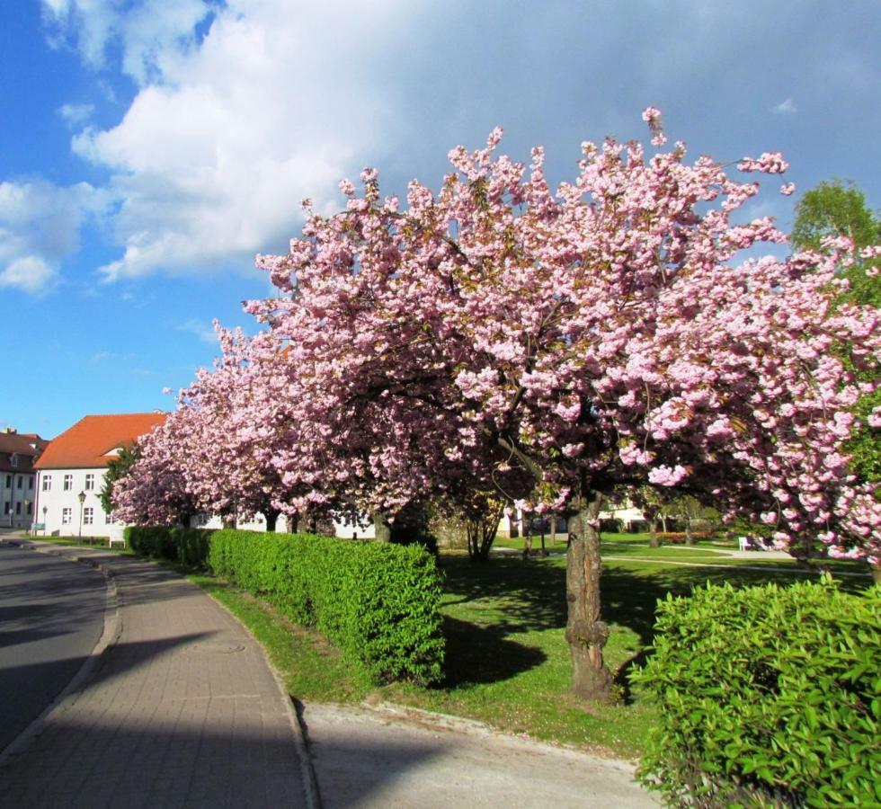 Apartmán Kastanienhof Luebben Exteriér fotografie