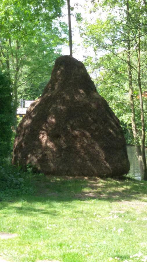 Apartmán Kastanienhof Luebben Exteriér fotografie